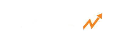 Briddhi